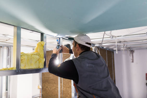 Best Insulation Inspection Services  in Connelly Springs, NC