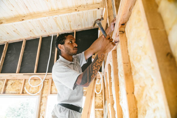 Best Insulation Removal  in Connelly Springs, NC